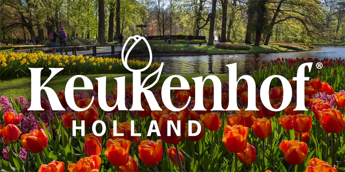 keukenhof1