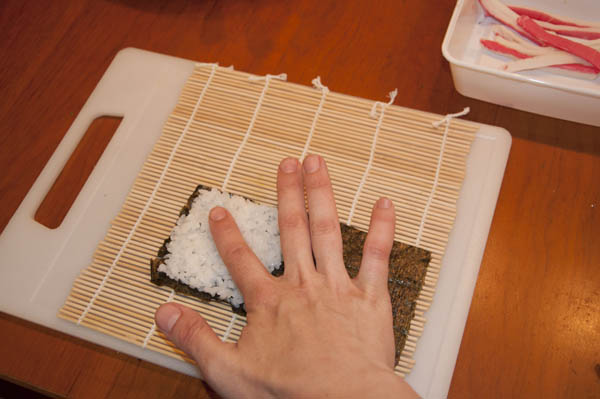 fotohandleiding24