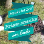 Maak Het Zelf: Frisse snacks voor honden