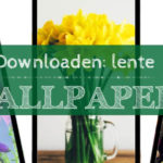 Downloaden: lente wallpapers voor je smartphone