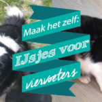 Maak het zelf: IJsjes voor je viervoeters